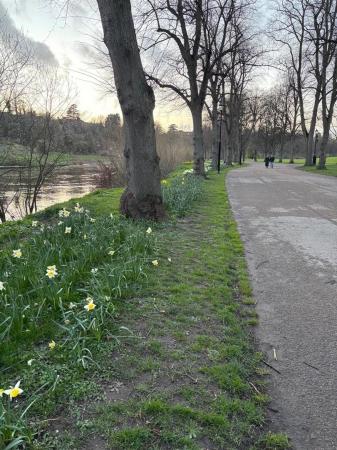 Adjacent Quarry Park.jpeg