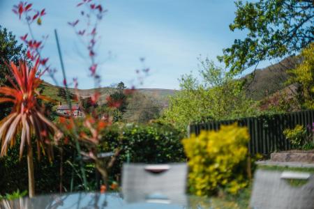 Garden 12.jpg