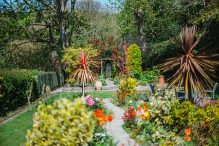 Garden 4.jpg