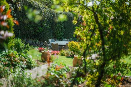Garden 8.jpg