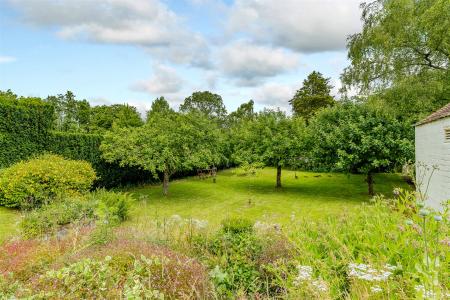Gardens/Orchard 8