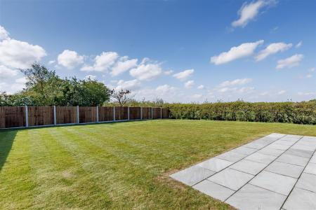 4 meadow new 2026 (36).jpg