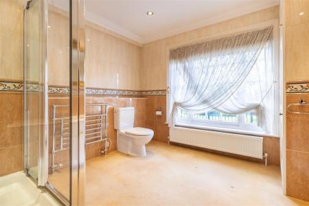 3 Campions, (15).jpg