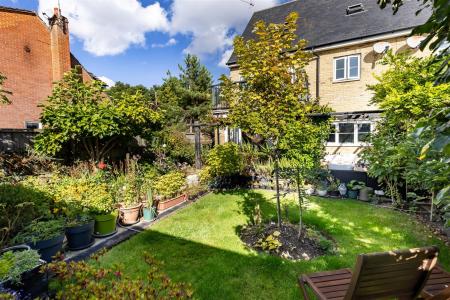 1 Kings wood  (19).jpg