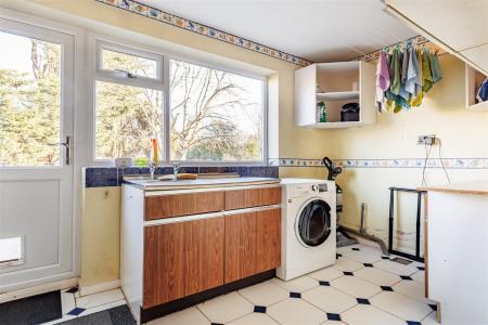 Raven Brook (24).jpg