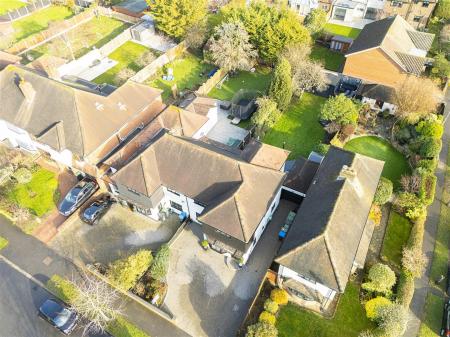 DJI_20260117115106_0682_D copy.jpg