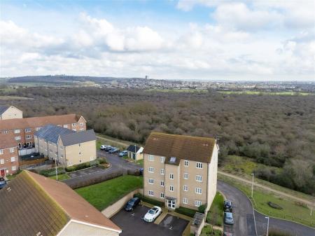 DJI_20260128131948_0733_D copy.jpg