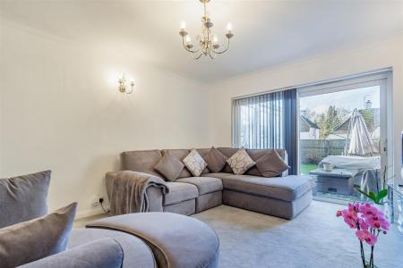 16, Field Close (3).jpg