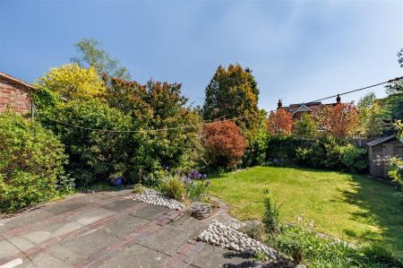 The Walnuts (21).jpg