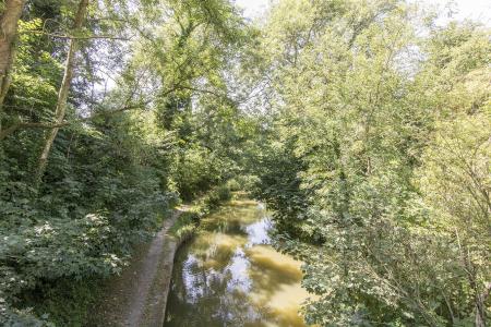 Grand Union Canal Photo