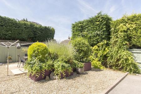 (Communal Garden Photo Two)