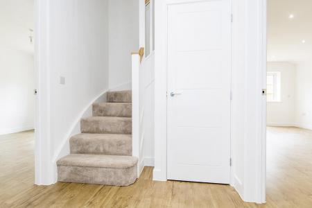 Stairs Leading to Landing