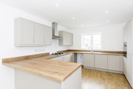 Kitchen/Family/Dining