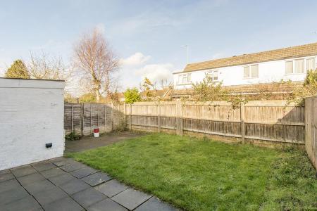 Garden ( Photo two )