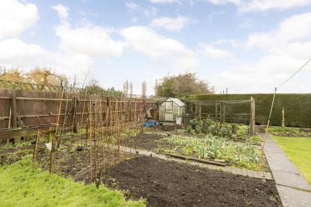Vegetable plot