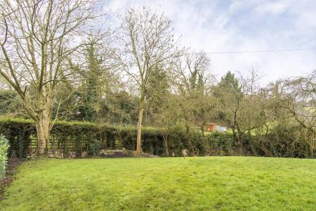 Garden ( Photo Two )