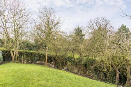 Garden ( Photo Three )