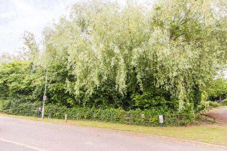 Front View Over the Lake