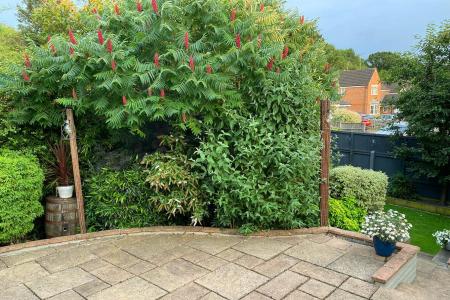 Garden (Photo Three)