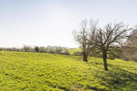 Countryside Views