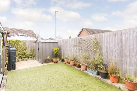 Garden ( Photo Two )