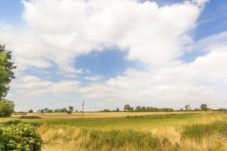 Country Views