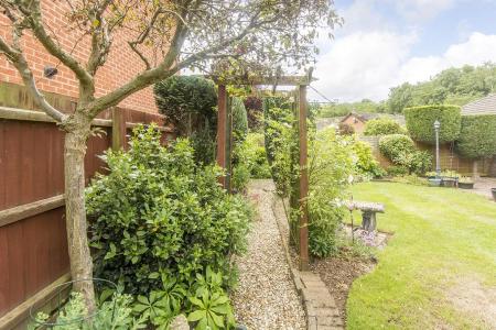 Garden Picture Two