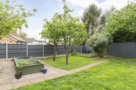 Garden (Photo Two)