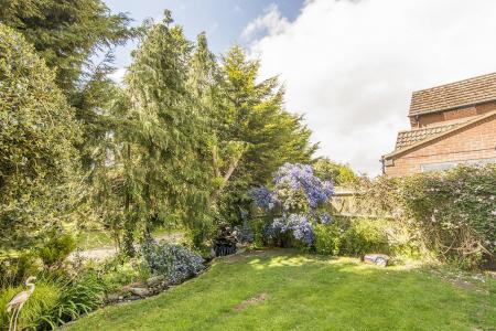 Garden (Photo Two)