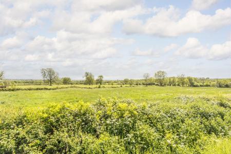 Rural Views