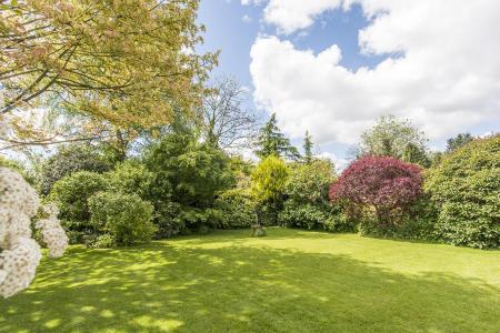 Main Garden