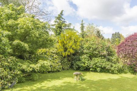 Garden (Photo Two)