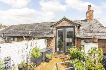 Roof Garden (Photo Two)