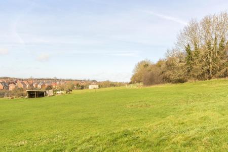 View from Rear of Garden