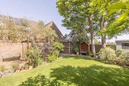 Garden Photo Two