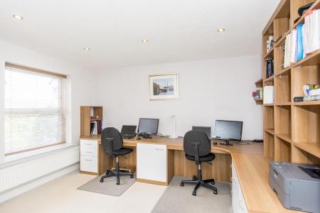 Study/Family Room