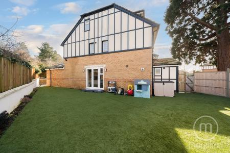 Media image 11