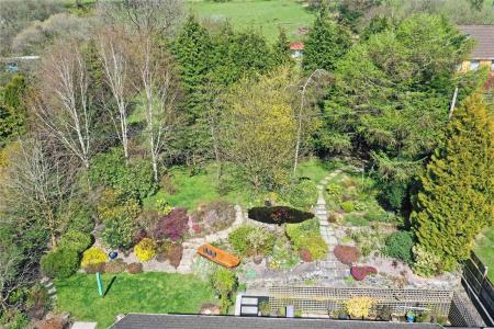 Drone View Of Garden