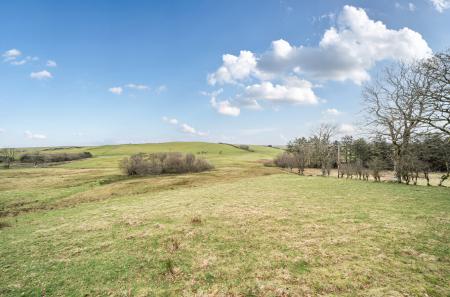 1406398-21-6994c1...