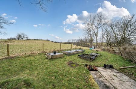 1406398-7-6994c1b...