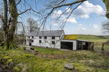 1406398-6-6994c1b...