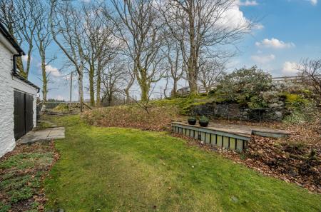 1406398-8-6994c1b...