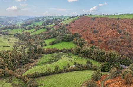 1362744-DJI_20251...