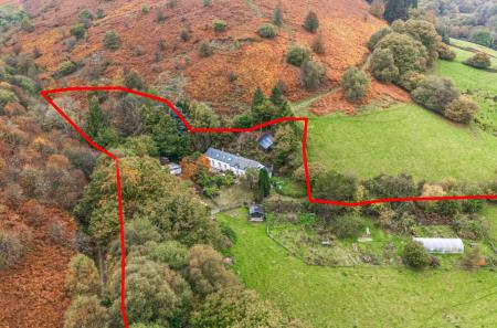 -68ef860a2e7b4-13...