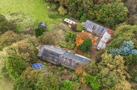 1362744-DJI_20251...