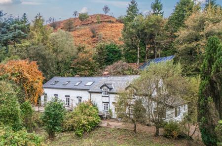 1362744-DJI_20251...