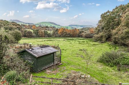 1362744-DJI_20251...