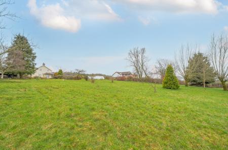 1409981-1-698b373...