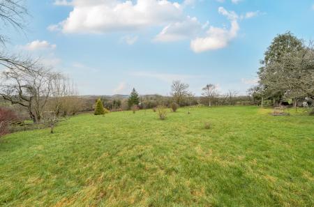 1409981-2-698b39a...