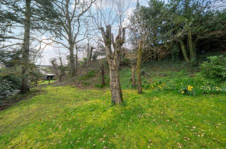 1433867-21-69cc22...